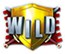 ArthursGold_wild_symbol