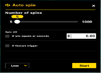 auto spin