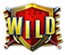 ArthursGold_special_wild_symbol